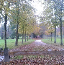 Versailles d'automne