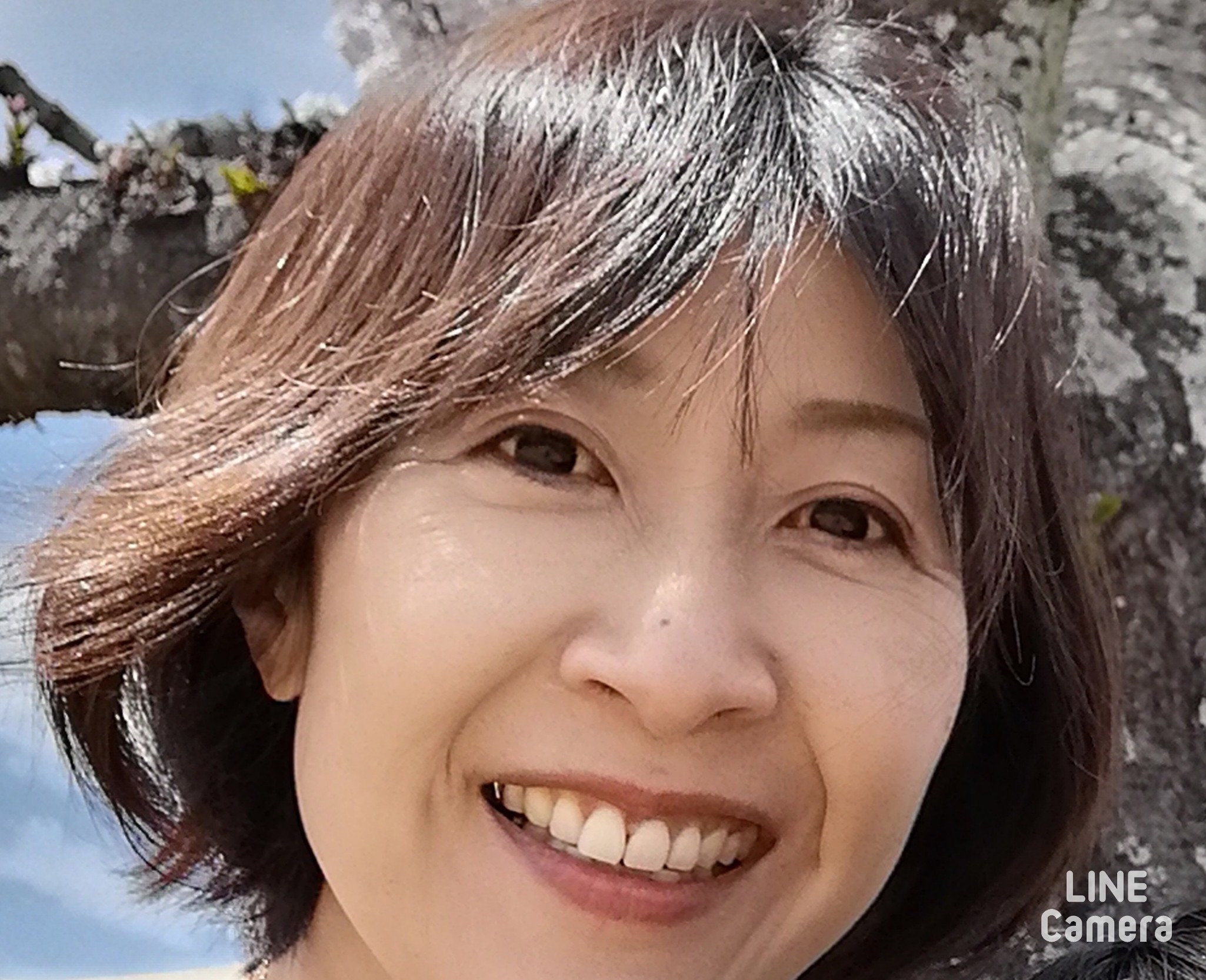 おけいこ 藤田尚子 先生